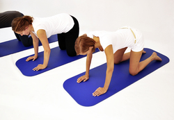 Kurse_0014_0208fl.fit_250